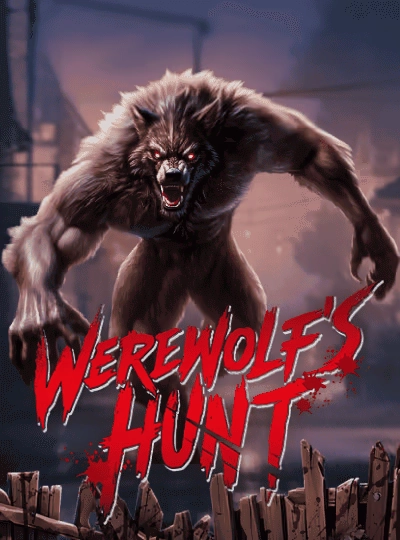 High volatility slot game cover
